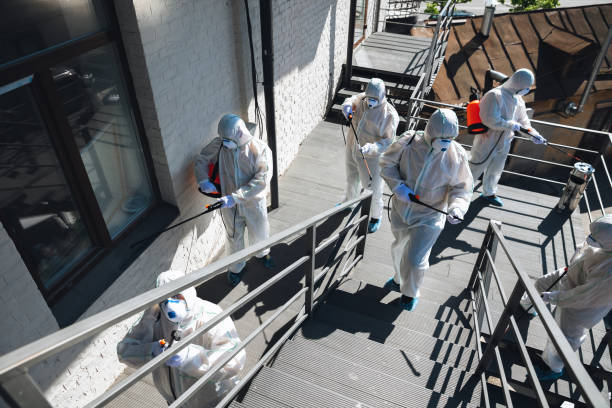 Best Commercial Mold Inspection  in Iyanbito, NM