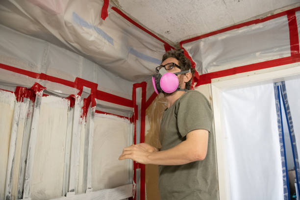 Iyanbito, NM Mold Removal Company