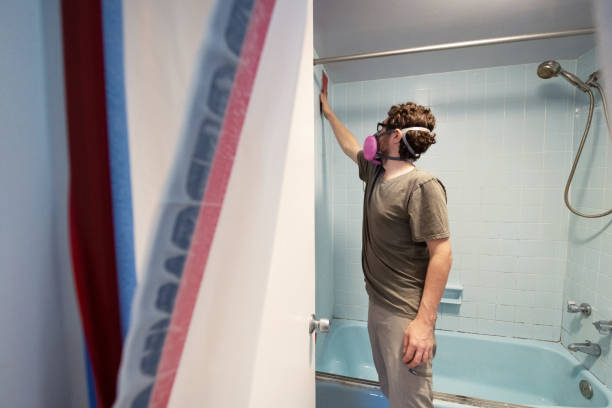 Best Black Mold Removal  in Iyanbito, NM