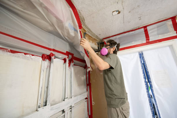 Forensic Mold Investigation in Iyanbito, NM